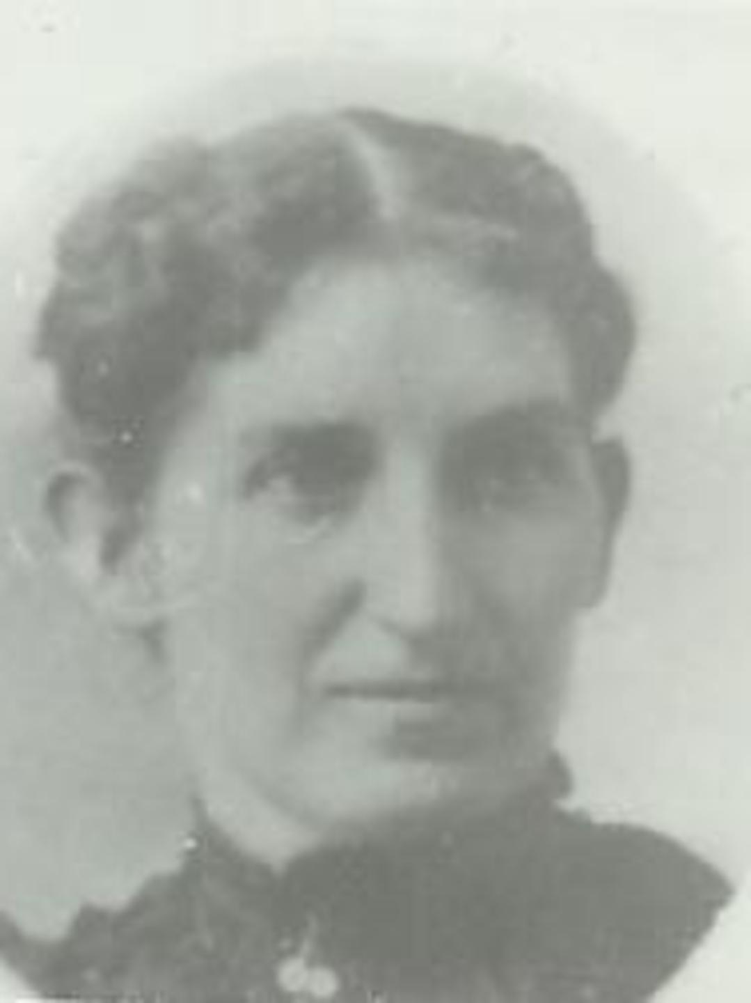 Sarah Elizabeth Thurston (1857 - 1931) Profile